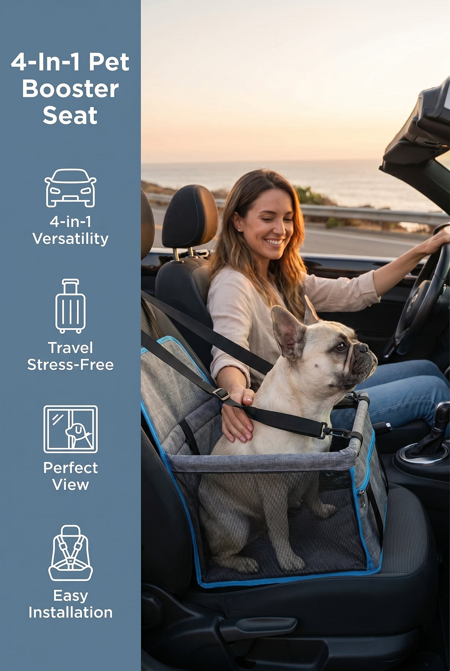 "4-in-1 Pet Booster Car Seat & travel carrier.